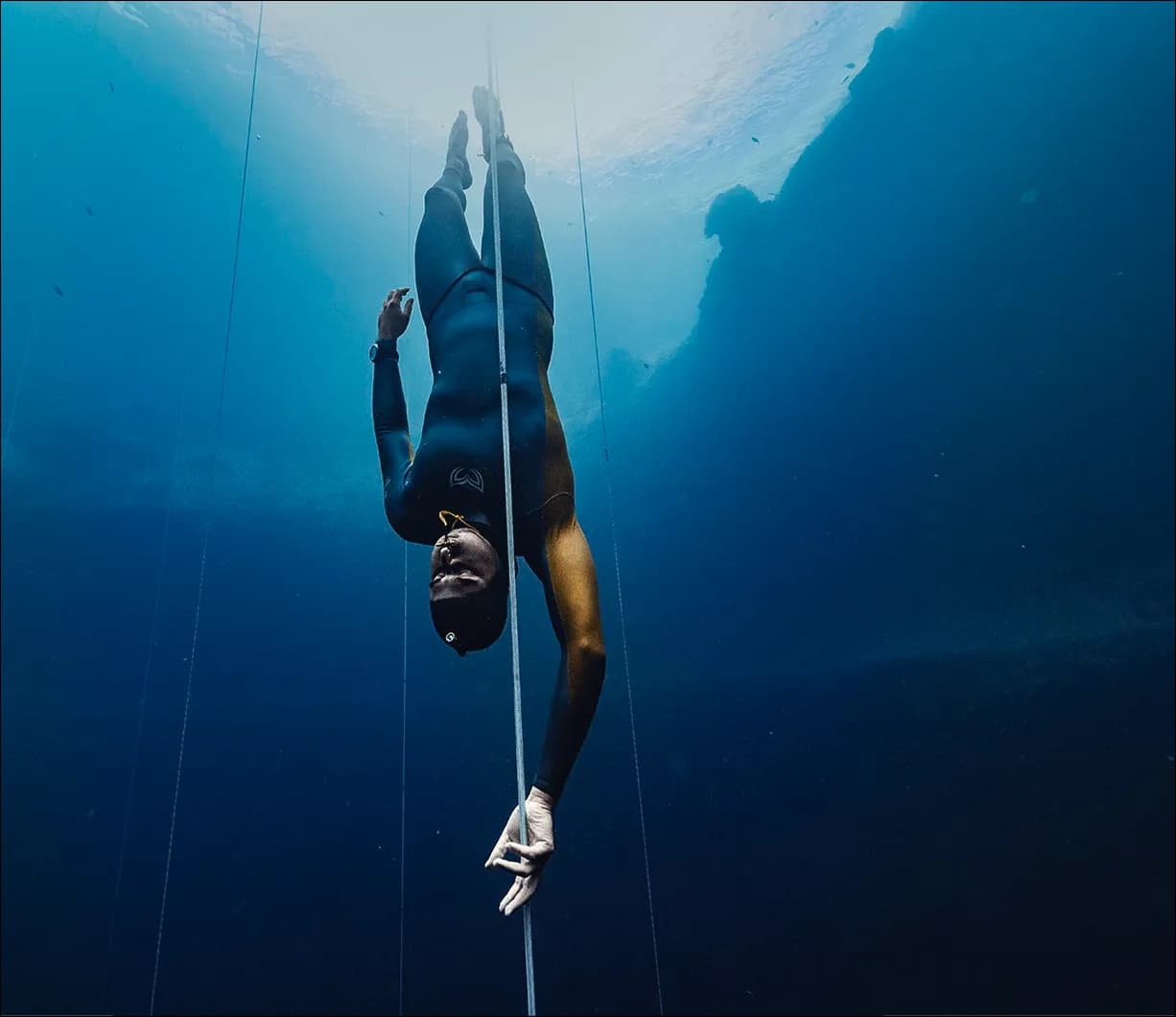 Underwater landscape
